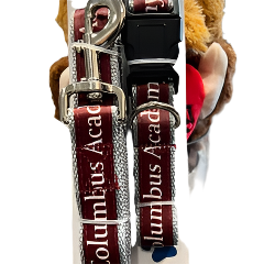 Pet Collar and Leash Set