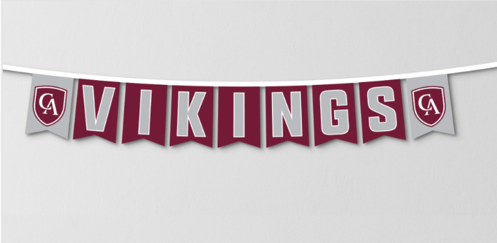 Vikings String Banner