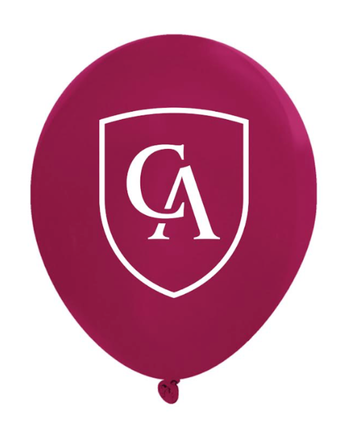 9" Latex Balloons - 10 pack