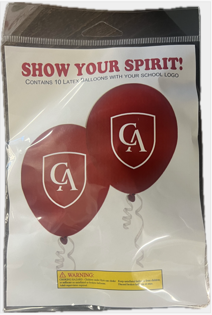 9" Latex Balloons - 10 pack