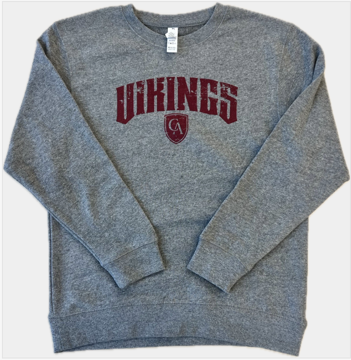 Youth Distressed Vikings Fleece