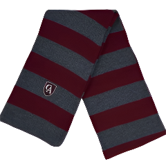 Logofit Niagara striped knit scarf