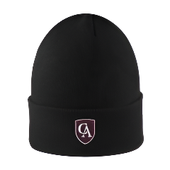 Logofit SouthPole Adult Knit Hat with Fleece Lining
