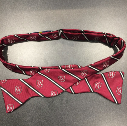 Charles Patrick of Georgetown Silk Bow Ties