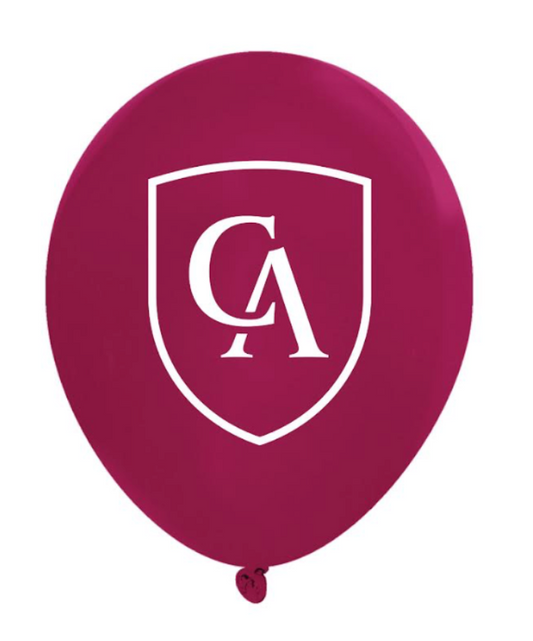 9" Latex Balloons - 10 pack