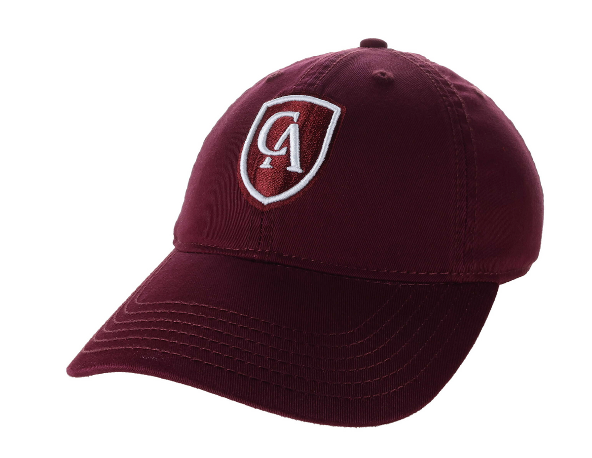 Youth Shield Relaxed Twill Hat