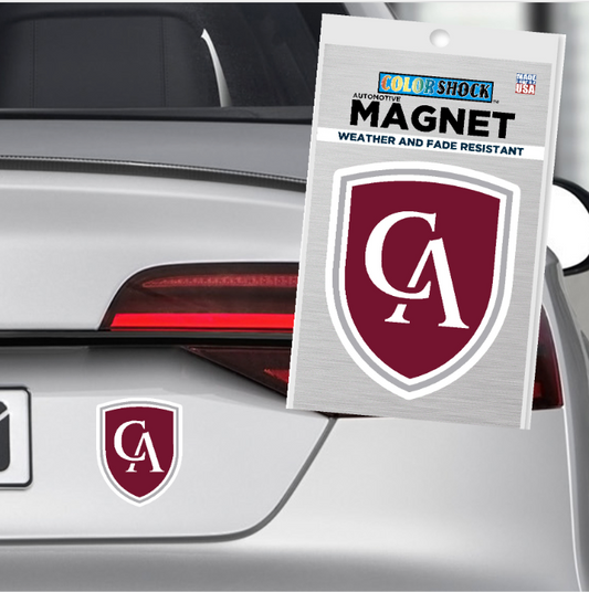 Colorshock CA car magnet - medium 4x5